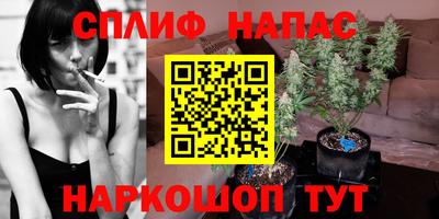 гидра Кулебаки