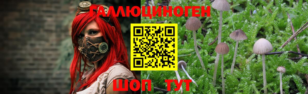 Галлюциногенные грибы Magic Shrooms Зима